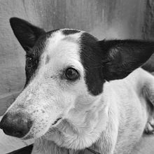 Primeira lição da aula de Era Azurmend. Un projet de Photographie de Julia de Sousa Costa - 23.01.2024