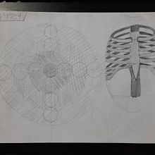 Meu projeto do curso: Desenho anatômico para principiantes. Fine Arts, Sketching, Pencil Drawing, Drawing, Realistic Drawing, and Figure Drawing project by joaopedrormunzoo - 01.24.2024