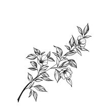 My project for course: Tattoo for Beginners. Tattoo Design project by martyna_kusztal00 - 01.25.2024