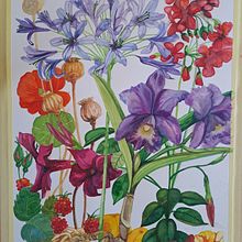 My project for course: Naturalistic Illustration in Watercolor and Gouache. Fine Arts, Painting, Watercolor Painting, Naturalistic Illustration, and Gouache Painting project by Marion O'Connor - 01.25.2024