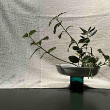 My 1st & Freestyle projects for course: Ikebana: flower arrangement for beginners. Interior Design, Decoration, Interior Decoration, Floral, and Plant Design project by Jacqui Byrne - 01.26.2024