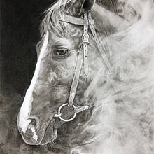 Tierportraits mit Kohlestifte und Bleistifte . Realistic Drawing, Pencil Drawing, and Portrait Drawing project by Angelika Schmidt - 02.22.2024