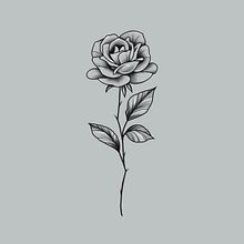 Mój projekt z kursu: Tatuaż w stylu fineline: odkryj subtelność cienkiej linii. Traditional illustration, Drawing, and Tattoo Design project by Oliwia Dyrda - 01.02.2023
