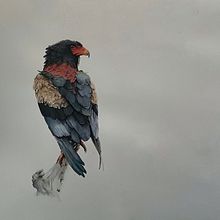 My Paintings. Watercolor Painting, Acr, and lic Painting project by Kim McWhinnie - 01.26.2024