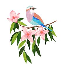 A project from the course: Floral Illustration with Gouache Paint - Complete. Digital Illustration, Botanical Illustration, and Gouache Painting project by Nina Mistry-Rhoades - 01.26.2024