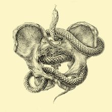 KUNDALINI PELVIS. Fine Arts, Creativit, Pencil Drawing, Drawing, Figure Drawing, Artistic Drawing, Realistic Drawing, Tattoo Design, Ink Illustration, Naturalistic Illustration, and Traditional illustration project by Adán Aryas - 01.27.2024