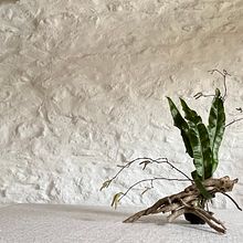 freestyle Ikebana arrangement made using seasonal materials foraged from the garden. Un projet de Design d'intérieur, Sculpture, Créativité, Stor, telling, Art conceptuel, Décoration d'intérieur, Beaux Arts, Artisanat , et Design d'espace de Jacqui Byrne - 27.01.2024