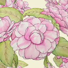 My project for course: Botanical Sketchbooking: A Meditative Approach. Traditional illustration, Sketching, Drawing, Watercolor Painting, Botanical Illustration, and Sketchbook project by Stacy Burch - 01.27.2024