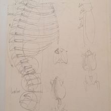 Mi proyecto del curso: Dibujo anatómico de extremidades, manos y pies . % Jose Diaz tarafından hazırlanan Güzel sanatlar, Eskiz çizimi, Kalem Çizimi, Çizim, Portre Çizimi, Gerçekçi Çizim, Sanatsal Çizim, Eskiz defteri, Şekil Çizimi, Mürekkep İllüstras, Ve onu projesi - 01.28.2024