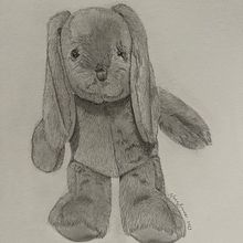 Fluffy Bunny. Een project van Traditionele illustratie van Nadia Bruwer - 28.01.2024