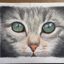 Cat. Een project van Traditionele illustratie van Nadia Bruwer - 28.01.2024