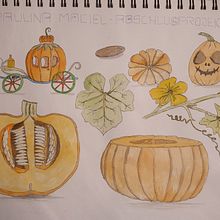 Mein Abschlussprojekt für den Kurs: Illustration einer naturwissenschaftlichen Zeitschrift - Kürbis. Een project van Traditionele illustratie, Aquarelschilderen,  Botanische illustratie y Sketchbook van Kai Möller - 28.01.2024