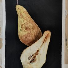 My project for course: Botanical Watercolor: Illustrating Art and Science. Un progetto di Illustrazione tradizionale, Belle arti, Pittura, Disegno, Pittura ad acquerello e Illustrazione botanica di Amelia Krysztofiak-Marcol - 29.01.2024