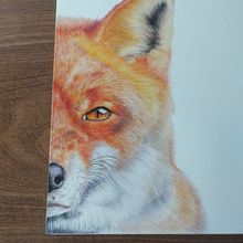 Retrato de mascotas, proyecto. Traditional illustration, and Naturalistic Illustration project by Camila Prieto Cáffaro - 01.30.2024