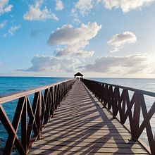"Mi Paisaje Holístico". Un progetto di Fotografia di Jelitssa Ozuna - 01.02.2024