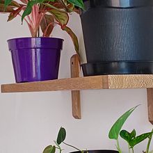 Mi proyecto del curso: Diseño de interiores con plantas desde cero. Projekt z dziedziny Projektowanie wnętrz, Architektura krajobrazu,  Dekoracja wnętrz, Dekoracja wnętrz, DIY, Kompoz, cje kwiatowe i botaniczne i Projektowanie przestrzeni użytkownika Mateo - 01.02.2024