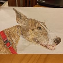 Proyecto final . Un progetto di Belle arti di rieravalbuenanatalia - 29.01.2024