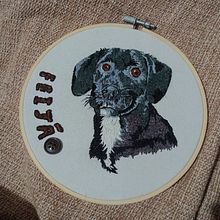 Meu projeto do curso: Needle painting para principiantes. Embroider, Naturalistic Illustration, and Textile Design project by rayssa_do_carmo - 02.02.2024