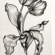 @morgana.tobacia_tatoo: Diseño de tatuajes Blackwork. Un proyecto de Ilustración tradicional, Ilustración digital y Diseño de tatuajes de Hüsfreyja Sigurdöttir - 31.01.2024