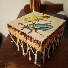 Pyrography project_wooden box. Arts, Crafts, Drawing, Woodworking, Creativit, Botanical Illustration, Ink Illustration, and Fine Arts project by Jan Harvey - 02.04.2024