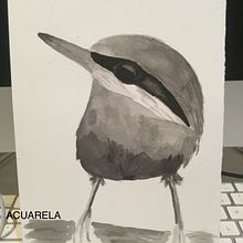 Mi proyecto del curso: Acuarela artística para ilustración de aves. Traditional illustration, Watercolor Painting, Realistic Drawing, and Naturalistic Illustration project by José María Vara de Rey - 02.04.2024