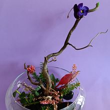 Sussurro di primavera . Een project van  Ontwerp van Tiziana Tesio - 04.02.2024