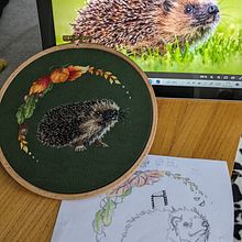Igel im Herbst / Autumn Hedgehog. Embroider project by sa_mar - 02.04.2024