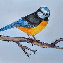 Dies ist mein erster Versuch. Eine Blaumeise. Gemalt ohne Vorkenntnisse im Februar 2024 . % Karin tarafından hazırlanan Tablo, Sulubo, Ve a Resim projesi - 02.05.2024