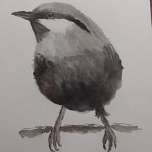 Mi proyecto del curso: Acuarela artística para ilustración de aves. Traditional illustration, Watercolor Painting, Realistic Drawing, and Naturalistic Illustration project by Laura Córdoba Salgado - 02.05.2024