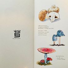 My project for course: Botanical Watercolor Sketchbook. Traditional illustration, Watercolor Painting, Botanical Illustration, and Sketchbook project by Yuko Okuya - 02.05.2024