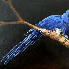 Mój projekt z kursu: Klasyczne malarstwo olejne: naturalistyczne portrety ptaków. Projekt z dziedziny  Sztuki piękne,  Malarstwo, Malarstwo olejowe, Ilustracja naturalist i czna użytkownika malgorzata_wilamowska - 15.02.2023
