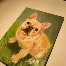 Mi proyecto del curso: Retrato realista de mascotas con pintura al óleo. Projekt z dziedziny  Sztuki piękne,  Malarstwo, Malarstwo olejowe, Ilustracja naturalist i czna użytkownika yorka_mf_ymf - 06.02.2024