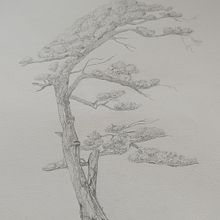 Il mio progetto del corso: Pittura ad acquerello: esplora le tecniche del pennello asciutto. Artes plásticas, Pintura, Desenho, Pintura em aquarela, Ilustração botânica e Ilustração naturalista projeto de fabiolabiron - 07.02.2024