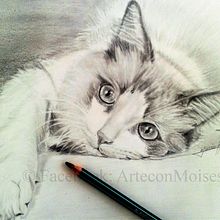 Dibujo artístico - Dibujos realistas o retratos a lápiz de Faraón Ramses (Yul Brynner) de la película los 10 Mandamientos Y Juan de Pareja de Diego Velázquez y otros dibujos realistas de mascotas y dibujos decorativos. Un progetto di Belle arti, Disegno di ritratti, Disegno artistico, Disegno a matita, Disegno, Disegno realistico, Sketchbook, Illustrazione tradizionale, Interior Design e Pittura decorativa di Moisés Hernández - 07.02.2024