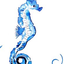 Hippocampe. Traditional illustration project by Eileen Laurie - 02.08.2024