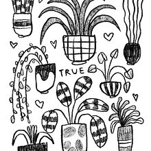 Corso Catalina Bu (PLUS). Digital Illustration project by Sara Fredducci - 02.08.2024