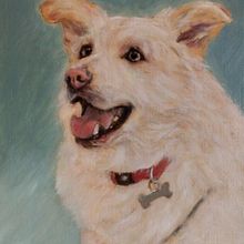 Óscar, a minha primeira pintura a óleo de um pet. . Projekt z dziedziny  Sztuki piękne,  Malarstwo, Malarstwo olejowe, Ilustracja naturalist i czna użytkownika Jorge Bandarra - 06.02.2024