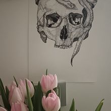 Skull. Artes plásticas projeto de charlottep - 08.02.2024