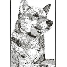 Yuki. Un projet de Illustration à l'encre de Giorgia Migli - 09.02.2024