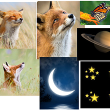 Mi proyecto del curso: Ilustración digital de animales fantásticos para principiantes. Un proyecto de Ilustración tradicional, Dibujo, Ilustración digital, Dibujo digital y Pintura digital de la.centaura6 - 10.02.2024