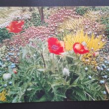 Mi proyecto del curso: Introducción al fotobordado: crea imágenes con textura. Un projet de Photographie, Papercraft, Broderie, DIY , et Design textile de Fabiola Paredes Ramìrez - 08.02.2024