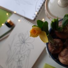 My project for course: Instagram Videos: Capture Your Creative Process. Mobile Photograph, Instagram, Instagram Photograph, Lifest, and le Photograph project by Zanda Milzarāja - 02.10.2024