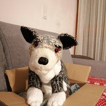 My project for course: Knitting Realistic Stuffed Animals: Make a Puppy from Yarn . % peeltracy59 tarafından hazırlanan Örgü örmek projesi - 02.10.2024