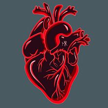 lustración de corazón. Un progetto di Disegno, Disegno digitale e Illustrazione digitale di Maleny Estrada - 11.02.2024