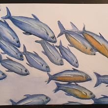 Mein Abschlussprojekt für den Kurs: Aquarellillustration von Meereswelten  . Ilustrație tradițională, Pictura, Pictură în acuarelă & Ilustrație naturalistă de Franziska Schmid-Zehtner - 02.11.2024