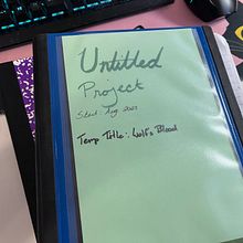 My project for course: The Zero Draft: How to Start Writing a Novel. Writing, Fiction Writing, and Creative Writing project by Leigh G - 02.12.2024