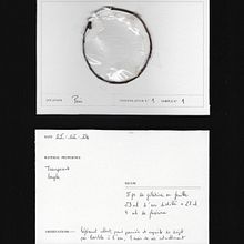 Recherches de filtres. Fotografia projeto de flaviasistiaga - 12.02.2024