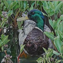 My Wildlife Oil Paintings. Painting project by Fiona Redmond - 02.12.2024