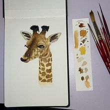 My project for course: Watercolor Illustration: Painting Realistic Wildlife. Fine Arts, Painting, Watercolor Painting, and Naturalistic Illustration project by jessissketching - 02.13.2024