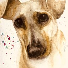 Meu projeto do curso: Retratos expressivos de animais em aquarela. Un projet de Illustration traditionnelle, Aquarelle, Dessin réaliste et Illustration naturaliste de Margarethe Gair - 13.02.2024